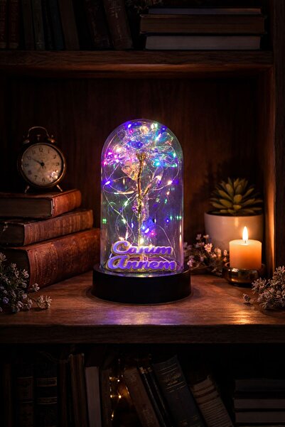 NOVATECH İNOVASYON Fanus İçinde Renkli Yapay Çiçek ve “Canım Annem” Yazılı Fi...