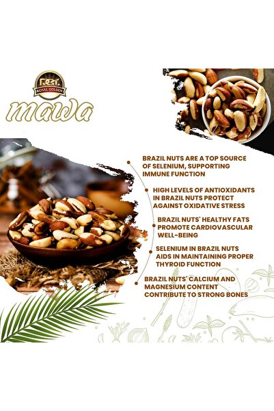 MAWA Raw Brazil Nuts 500g | Premium Brazilian Nuts | Raw Whole Nuts | No Broken | 100% Natural | Fre