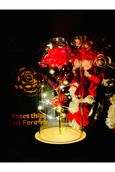 MyRavadino ™   Κρυογονικά διατηρημένο τριαντάφυλλο σε γυάλινο θόλο με φώτα LE...