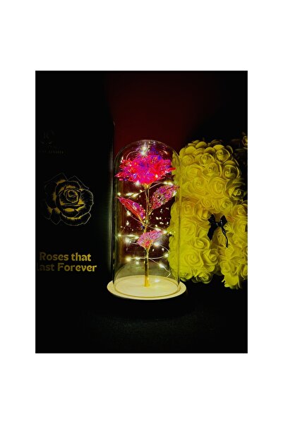 MyRavadino ™   Κρυογονικά διατηρημένο τριαντάφυλλο σε γυάλινο θόλο με φώτα LE...