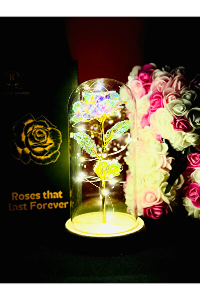 MyRavadino ™   Κρυογονικά διατηρημένο τριαντάφυλλο σε γυάλινο θόλο με φώτα LE...