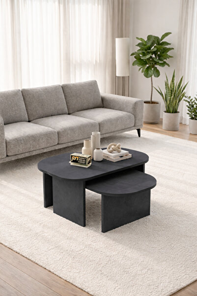 PDMPOİNT DOLAP MARKET Roma 2 li Orta Sehpa-Salon Sehpası Dekoratif Eğri Kenar...