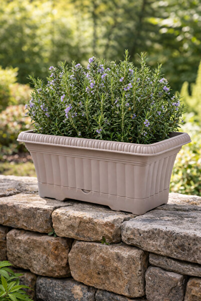 Binbirreyon Antik Balkon Saksı Plastik 28cm Saksı Tabak Dahil AH196