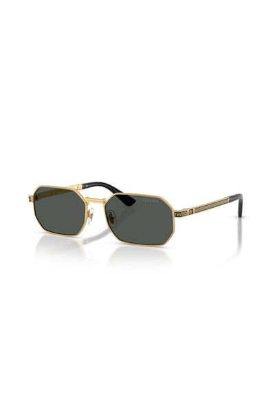 Versace Ve 2297 100287 54 Sunglasses