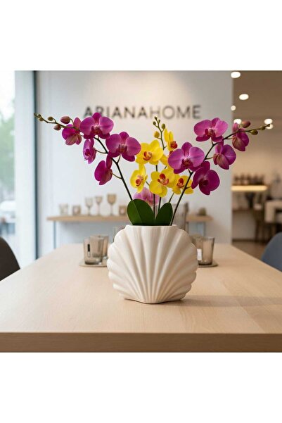 ariana sytle Vază decorativă din ceramică, albă, în formă de stridie