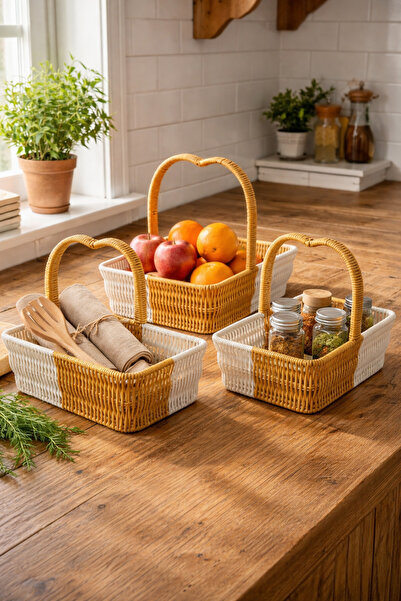 newar Interlocking Set of 3 Double-Colored Rectangular Rattan Baskets with He...