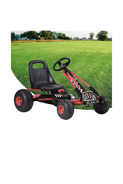 Royal Pedal Go-Kart for Kids, Adjustable Steering Wheel and Seat, Gear Shifte...