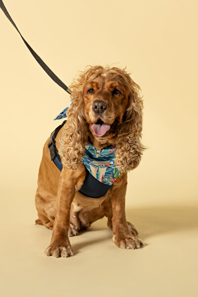 Yelken Desenli Kedi-Köpek Bandana/Fular