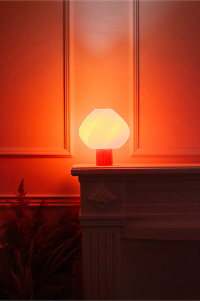 OEM 3D Printed Decorative Lamp