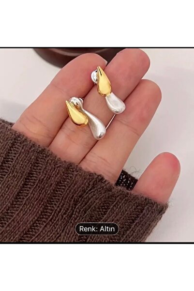 passion silver Drop Earrings Dual Color Gold-Silver Women