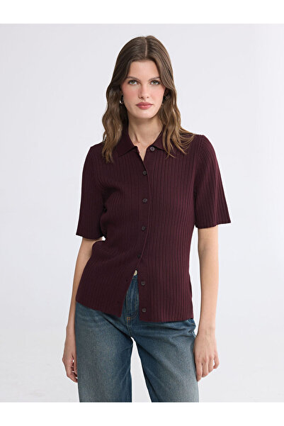 LC Waikiki Vizyon New Season Plum Polo Collar Women's Knitwear Cardigan