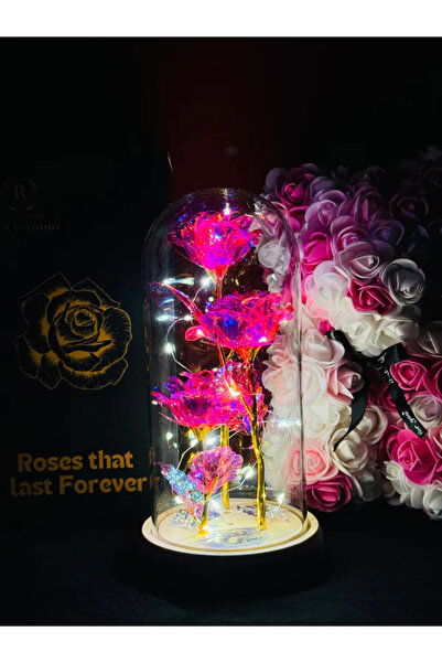 MyRavadino ™ 3 Trandafiri în cupolă de sticlă cu lumini LED, 22 cm, Roz