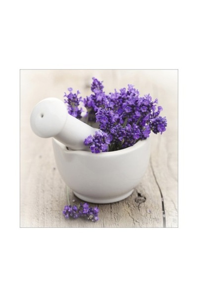 canvas Lovely Lavender III