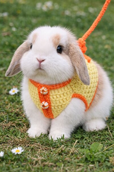 Berliva Home El Emeği Sevimli Tavşan Gezdirme Yeleği Seti - Canlı Renkler(BEL...