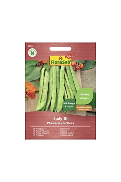 FloraSelf Select Broad Bean Lady Di Seeds