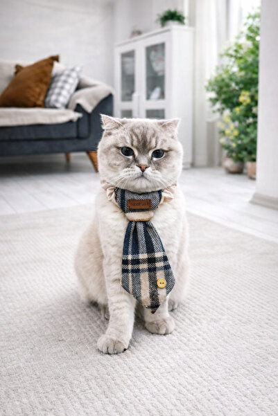 Quun Cat Dog Collar Accessory – Comfortable and Adjustable Leash with Bow Tie