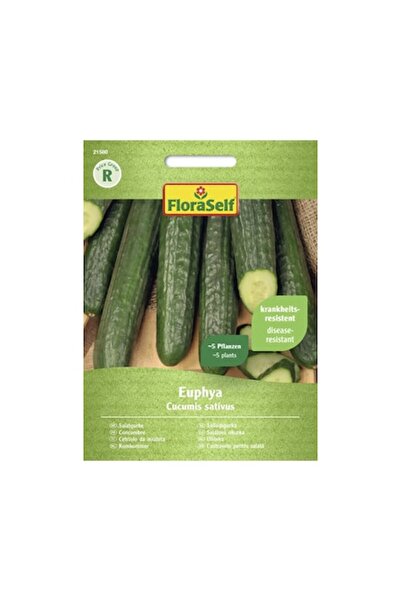 FloraSelf Cucumber Seeds Euphaya F1