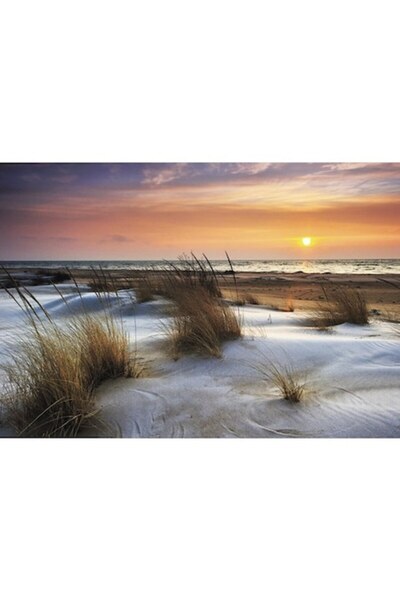 The Wall Art Helmgras&Dunes Canvas Painting 80x116 Cm