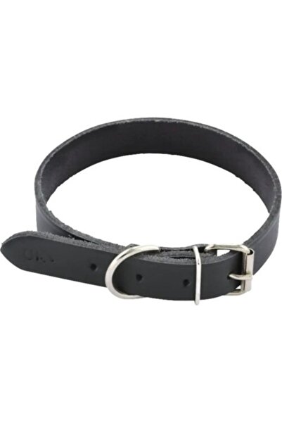 Clasic Zgardă din piele Dogtech 4x65 cm Negru