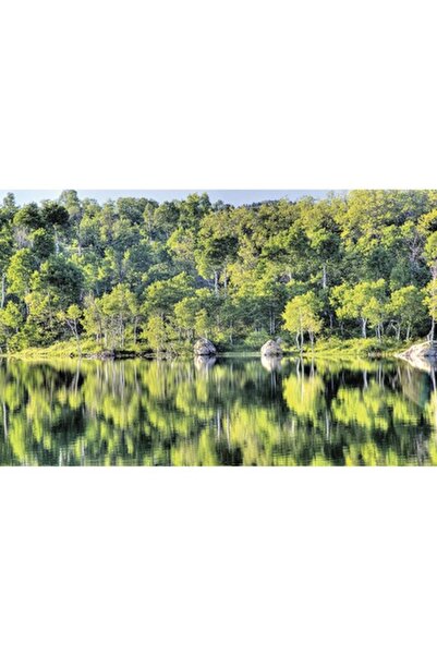 CLASSİC Canvas Painting Mirror of Nature 95x150 Cm