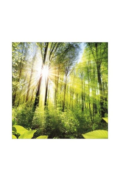 canvas Painting Towards The Sun 20x20 Cm