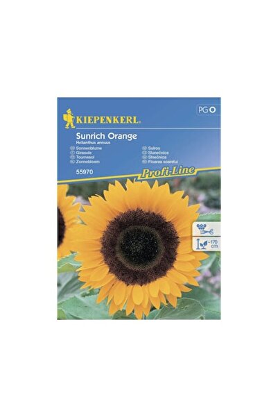 Clasic Semințe de floarea-soarelui portocalii Kiepenkerl Sunrich F1