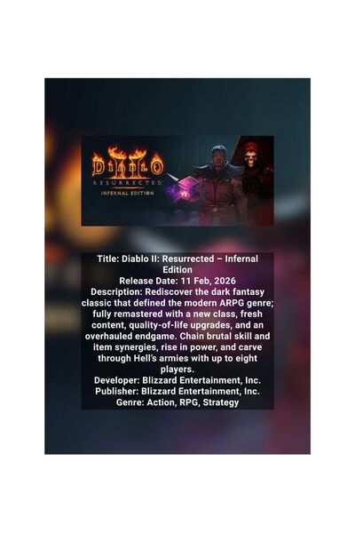 OEM Poster Infografic Diablo II: Resurrected, Ghid Clase si Skill-uri, Carton...