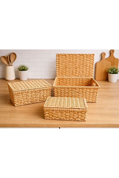 sever ithalat Rattan Kapaklı Dikdörtgen Organizer Çok Amaçlı Sepet 3'lü Set