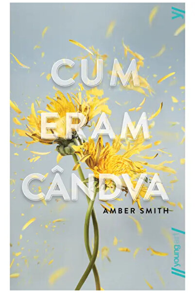 Young Art Cum eram noi înainte (Amber Smith) Nou