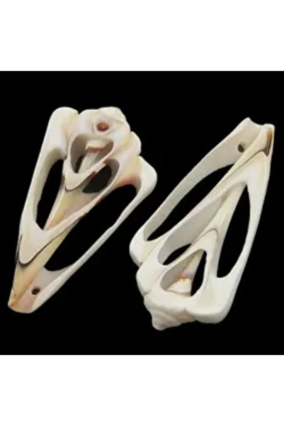 GemSale Sectioned Shell Pendant 4-5cm