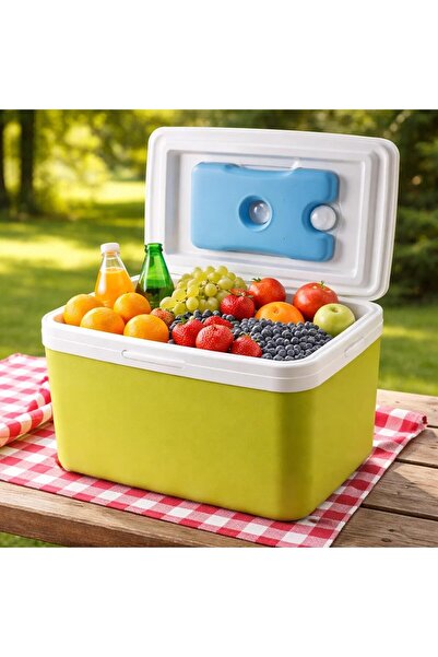 AutoFamily 6L Insulated Cooler Box with Ice Packs – Portable Ice Chest for Camping, Picnic & Outdoor Travel