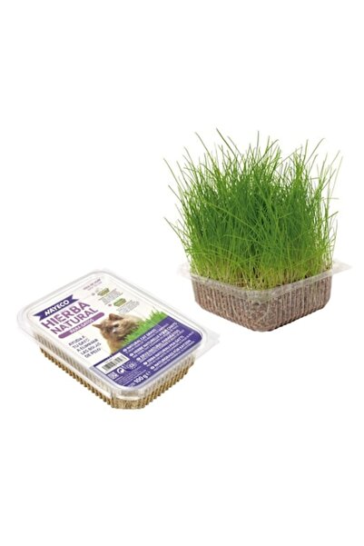 NAYECO Iarbă pentru pisici, Nayeco, 120g