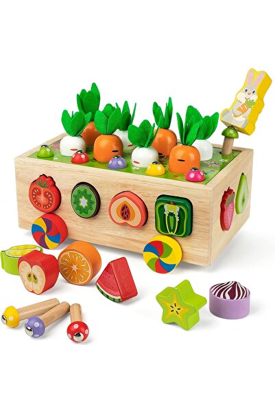 Generic Coogam Montessori Fine Motor Toys for Baby Toddler, Wooden Shape Sort...