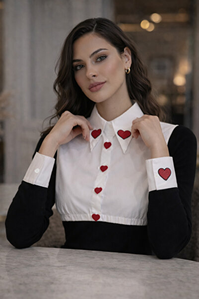 mirach Set of 2 Amor Shirt Collar Neck Collars and Cuff Sleeves |   Shirt-Loo...