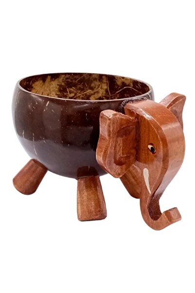 WoodBay Hindistan Cevizi Coconut Fil Kase Ayaklı Coconat Şekerlik