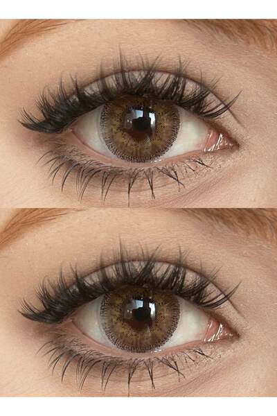 Fresh Lady Freshlady Honey Colored Contact Lenses Yearly Disposable for Daily...