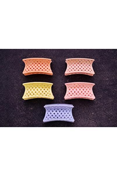 Srctech 5-Piece Colorful Mesh Design Hair Clip - 6 cm