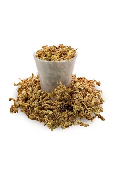 OSKARYUM Orkide Toprağı, Spagnum Yosun, Teraryum Yosun, Canlı Yosun 3 Litre