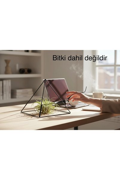 YoyoMoyo Geometrik Cam piramit Teraryum Fanusu – Sukulent ve Kaktüs İçin Deko...