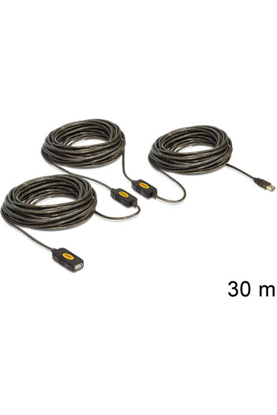 DELOCK Cablu prelungitor USB 2.0 activ 30 m