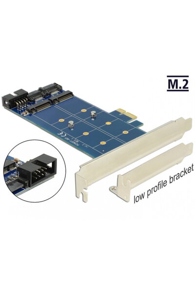 DELOCK PCI Express cu 2 x M.2 SATA, 89374