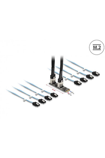 DELOCK M.2 2280 Key B+M to 8 x SATA converter, 64211