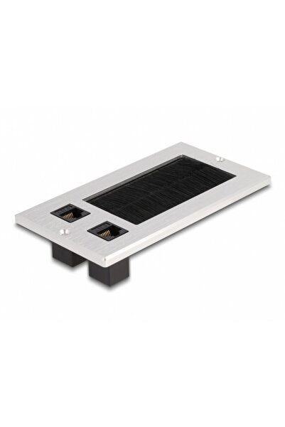 DELOCK Desk socket with brushes and 2 x RJ45 cat. 6 Aluminum, 66896