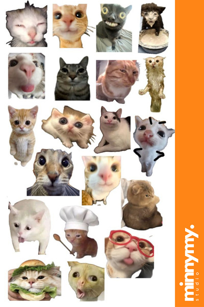 Minnymy 4 قطع من القطط المضحكة، القطط، الملصقات، الملصقات، جدول الأعمال، اليوميات، المخطط، مجلة الرصاصة، سجل القصاصات