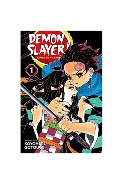 Viz Media Demon Slayer: Kimetsu no Yaiba, Vol. 1