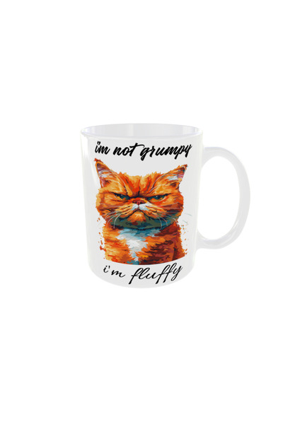 OEM Personalized grumpy cat mug, 350ml – the ideal gift for any occasion