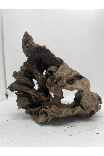 WODDY Stump Wood Akvaryum Kökü Medium