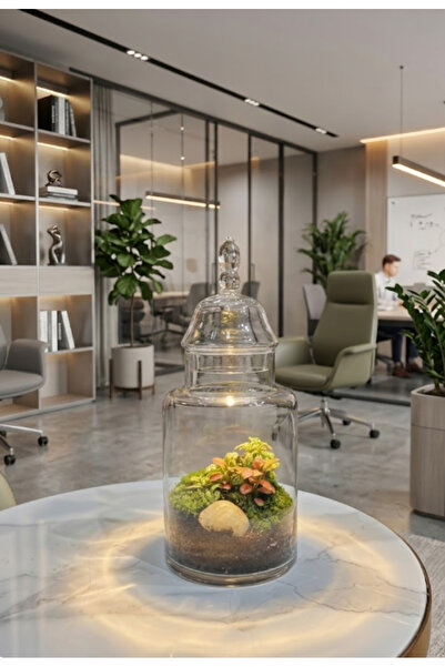 Generic Corporate Canopy Terrarium