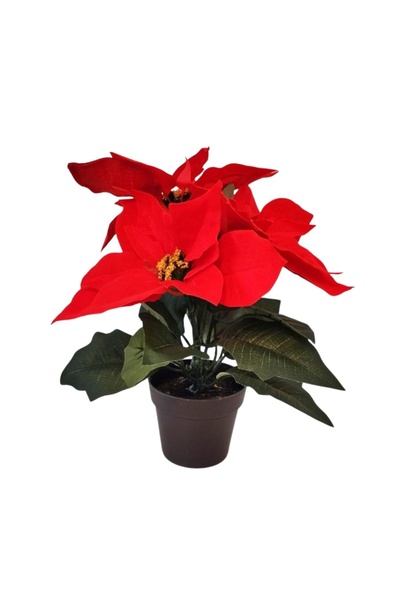 Koopman Τεχνητό χριστουγεννιάτικο φυτό 28 εκ., με κόκκινα υφασμάτινα πέταλα μ...