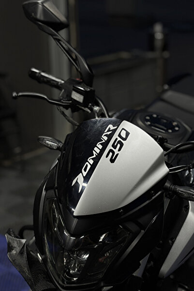 Banxtre Bajaj Dominar 250 için Gümüş Renk Kafa Detay Sticker (Uygulama İşçili...